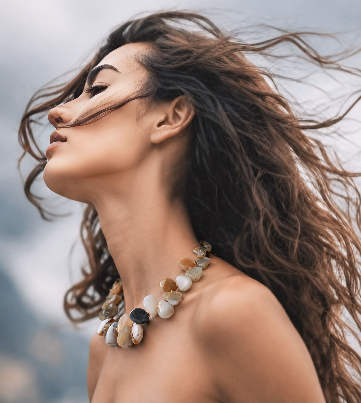 ANDES Collection